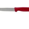 Wüsthof 1145302510 Pizza/Steakmesser 10 Cm Rot 1 Wüsthof 1145302510 Pizza/Steakmesser 10 Cm Rot -Bester Messer Geschäft 4e4f331d6971f0945cf2886f6f5cb663