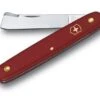 Victorinox 3.9020 Budding Knife Griff Aus Kunststoff Rot 1 Victorinox 3.9020 Budding Knife Griff Aus Kunststoff Rot -Bester Messer Geschäft c55a24b4dcafdf6bcd12efb86470ab19