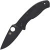 Spyderco C122GBBKP Tenacious G-10 Black Black Blade -Bester Messer Geschäft dc3d4cde94bb23dd263f19d45ae722f2